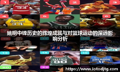 姚明中锋历史的辉煌成就与对篮球运动的深远影响分析