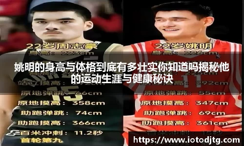 姚明的身高与体格到底有多壮实你知道吗揭秘他的运动生涯与健康秘诀