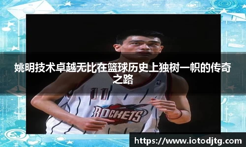 姚明技术卓越无比在篮球历史上独树一帜的传奇之路