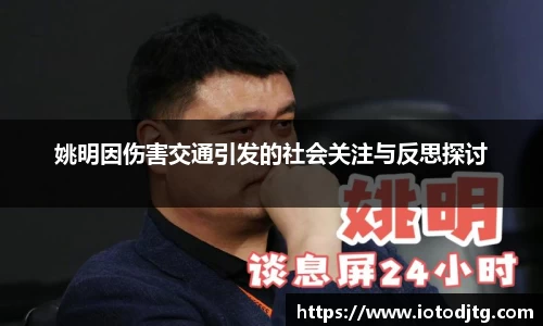 姚明因伤害交通引发的社会关注与反思探讨